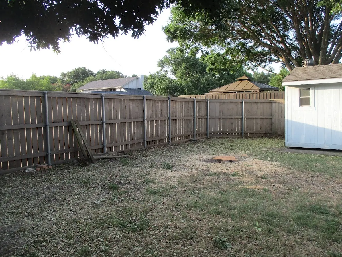 Cleared yard after professional tree removal in Burlington Flats